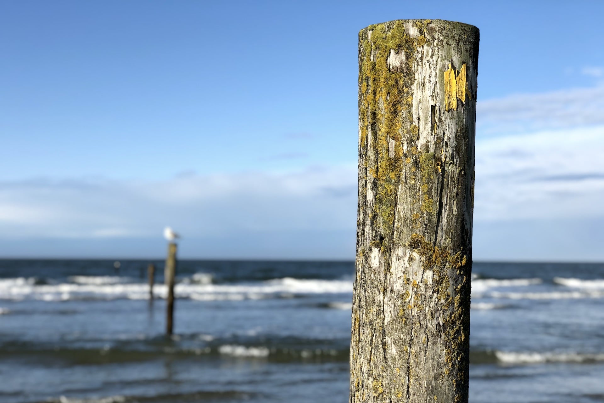 EU Umweltagentur bestätigt Norderneyer Badestränden erneut exzellente Wasserqualität